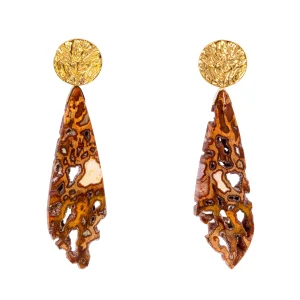 Drusy Pockets Petrified Wood Earrings