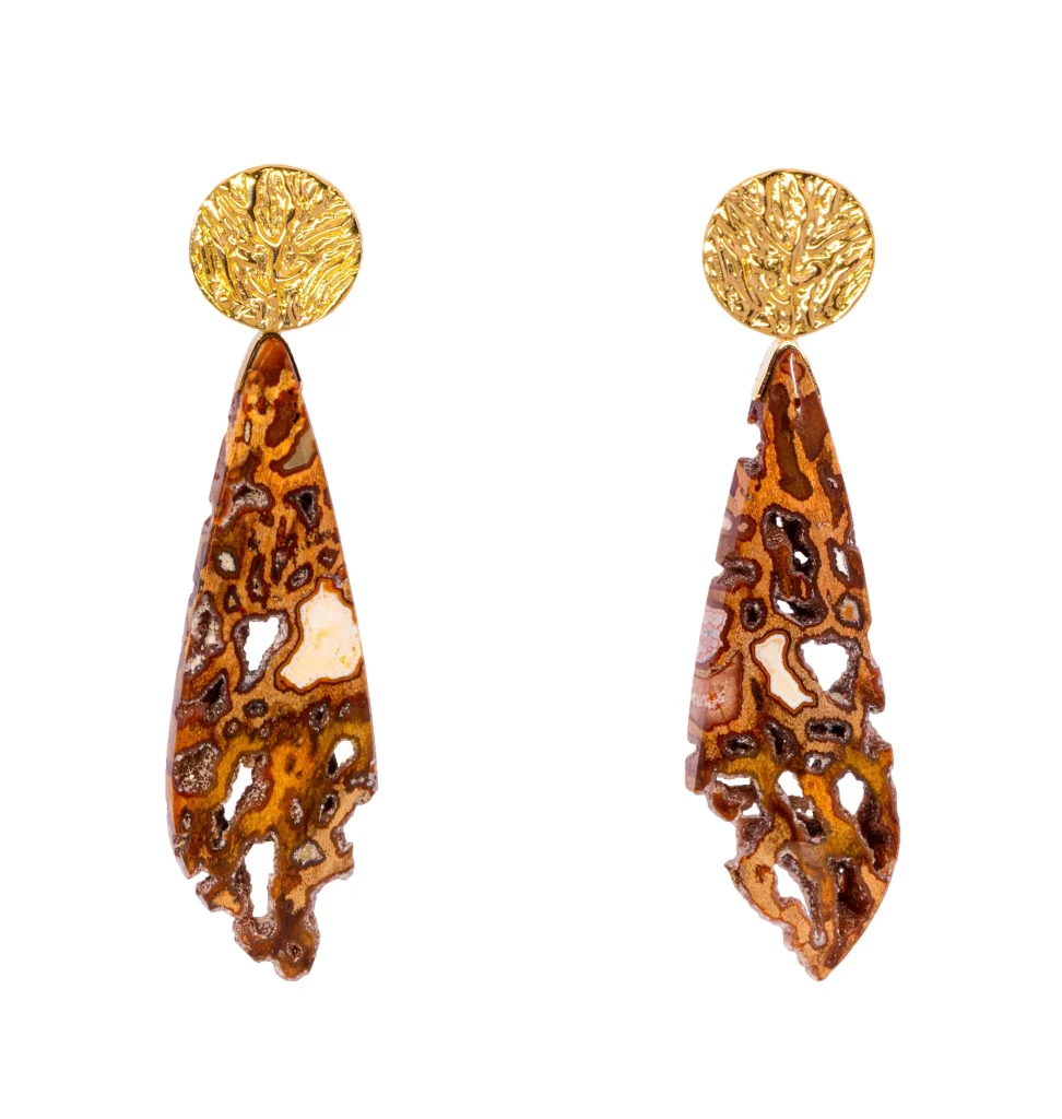Drusy Pockets Petrified Wood Earrings